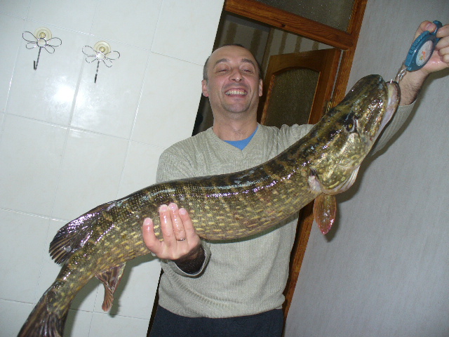 P1160516.JPG