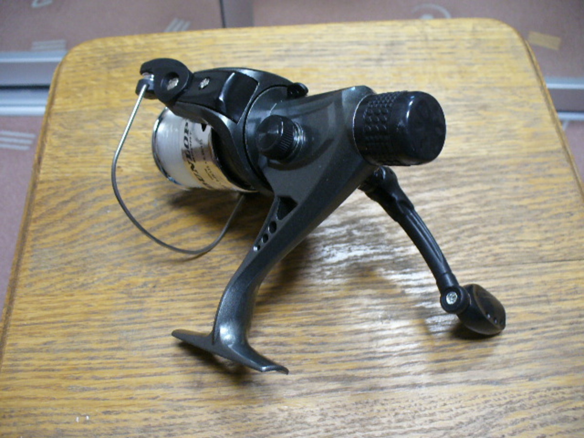 P1170172.JPG