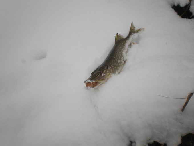 P1220007 1.jpg