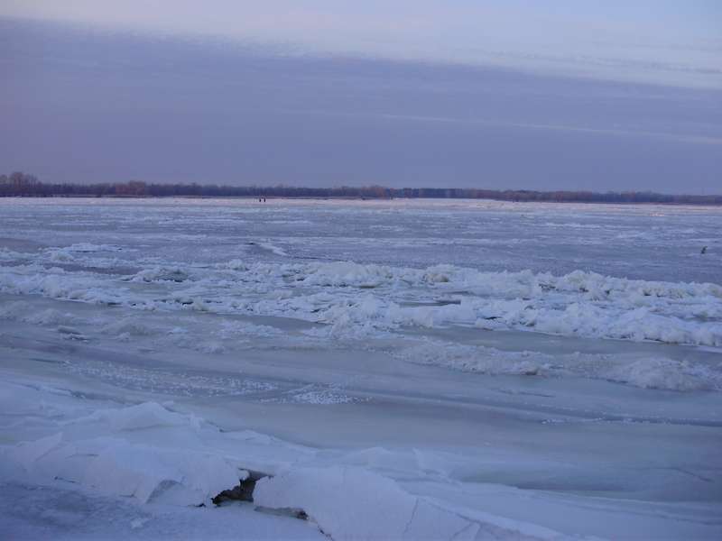 P2090044_thumb.jpg