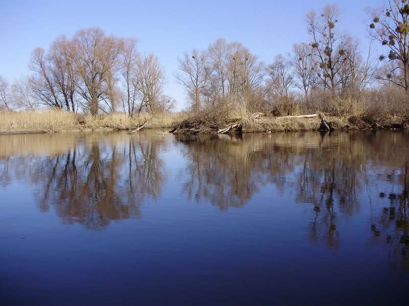 P3180077_thumb.jpg