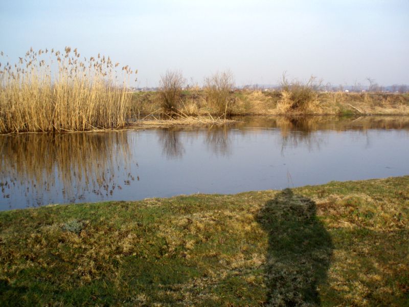 P4040007.JPG