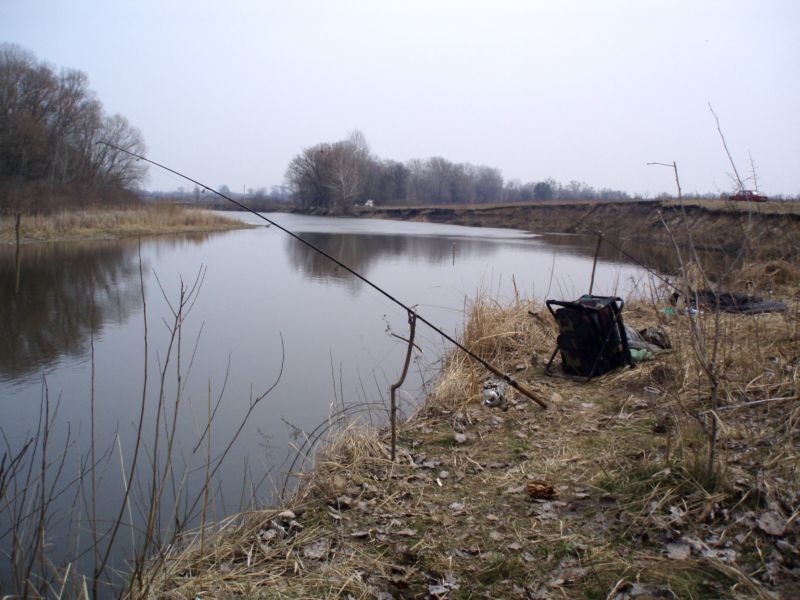 P4040011.JPG