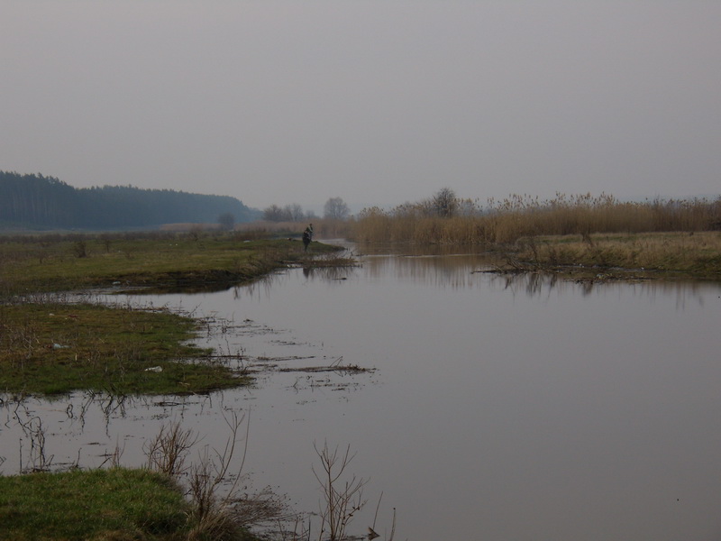 P4040130.JPG