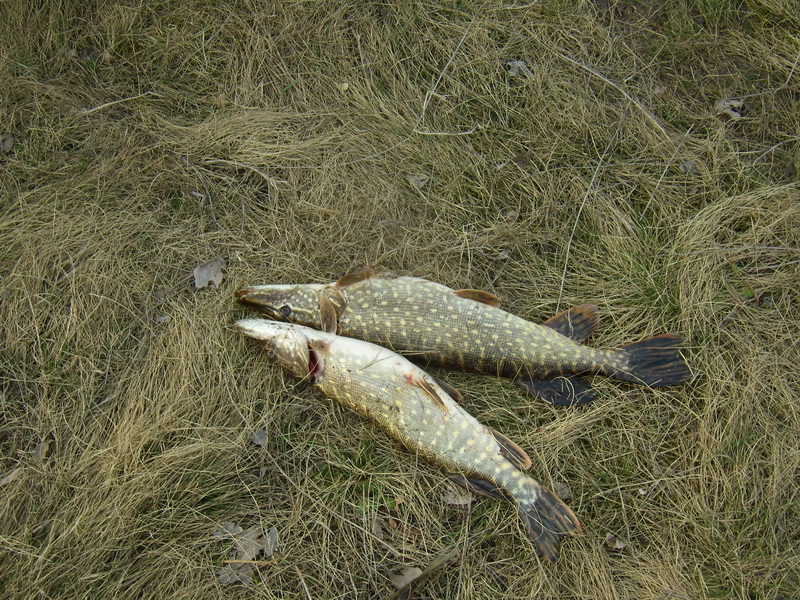 P4040138.JPG