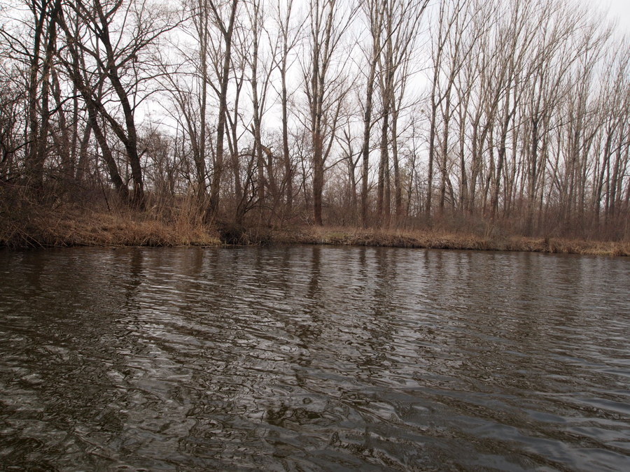 P4070859.JPG