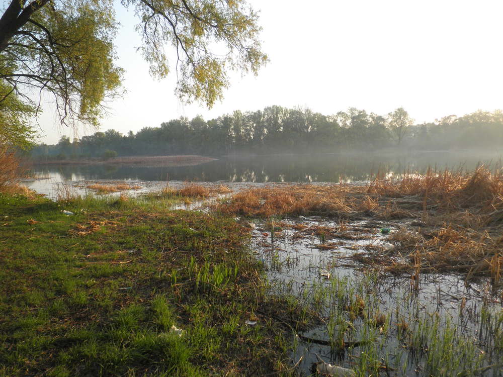 P4290252.JPG