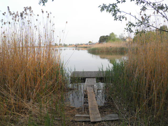 P5080004.JPG