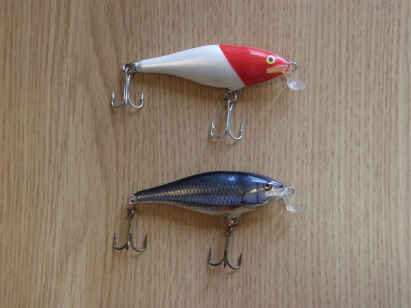 P5240201.JPG
