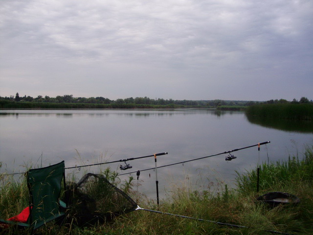 P6280021.JPG