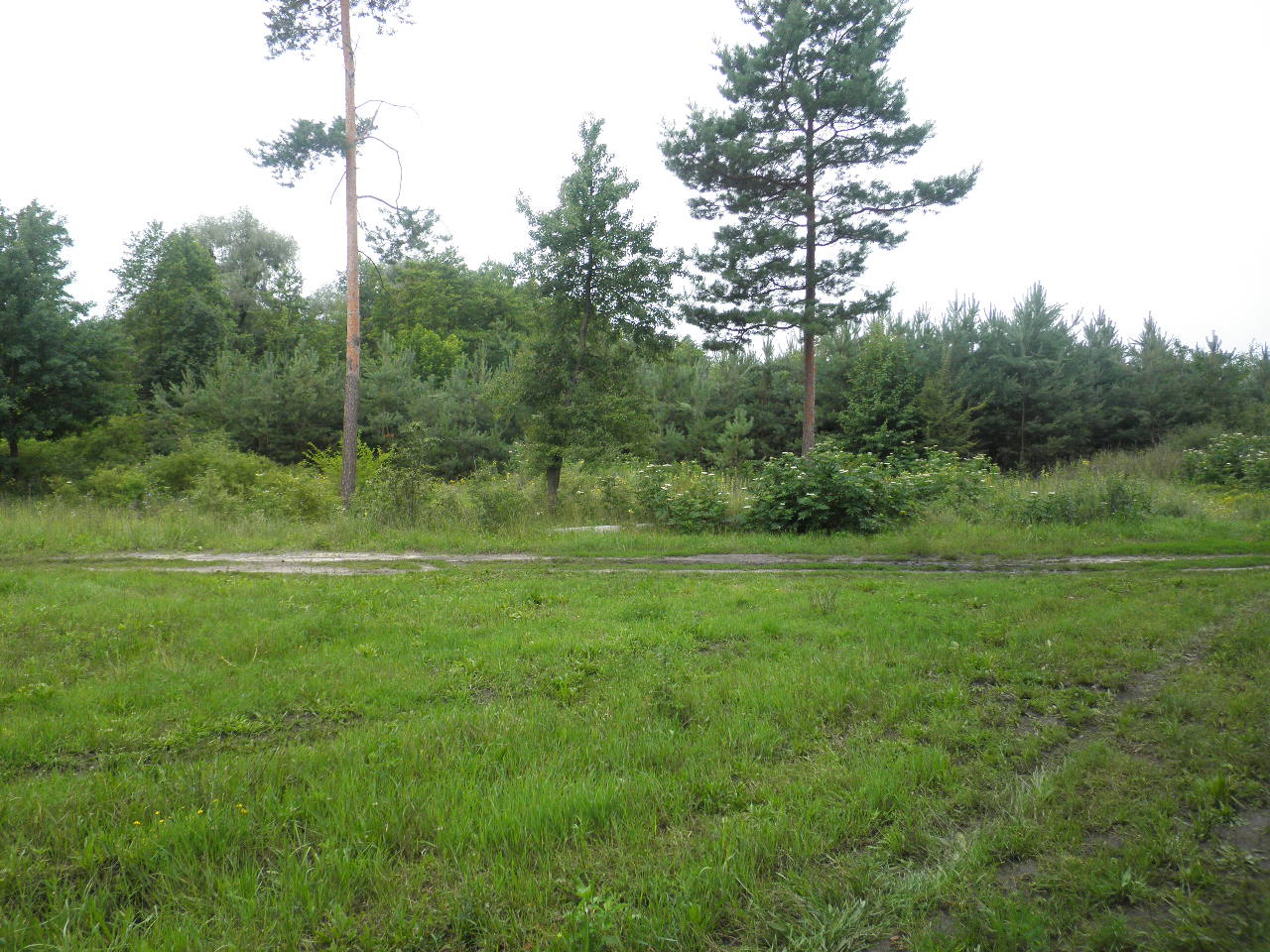 P7030052.JPG