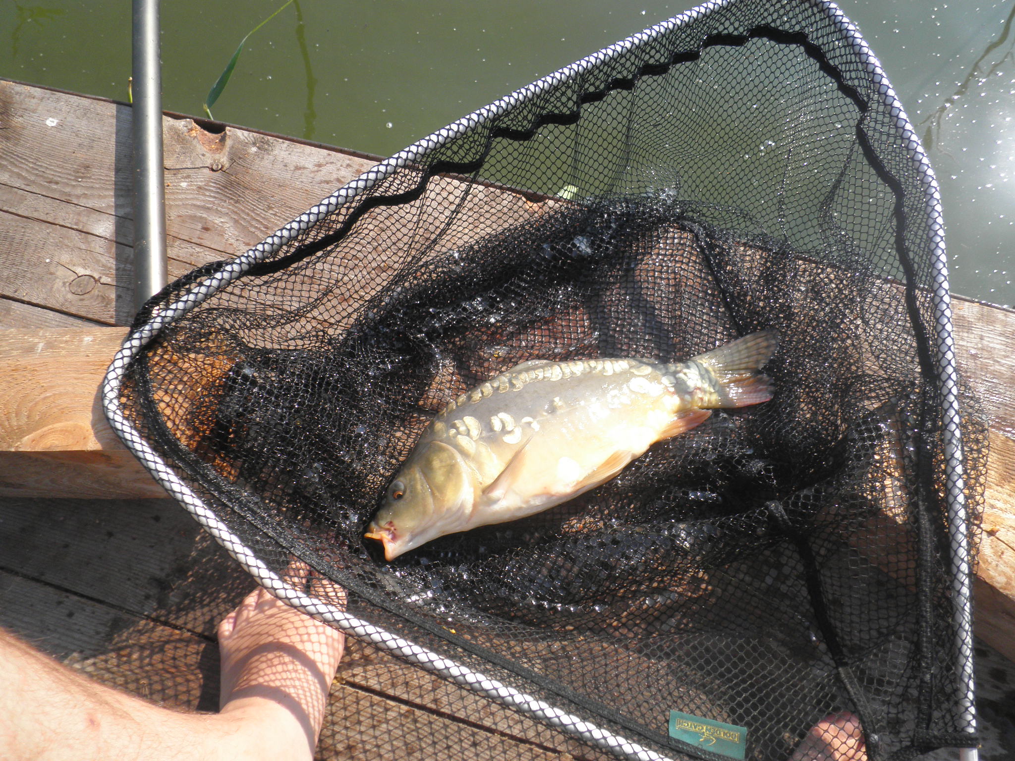 P7200005.JPG