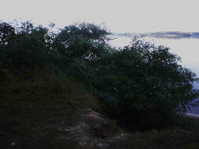 P7240030.jpg