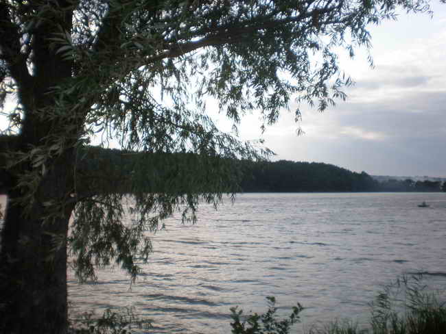 P8010004.jpg
