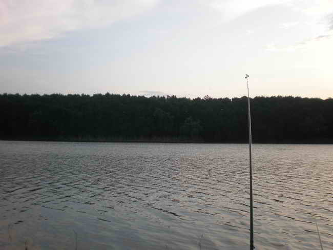 P8010007.jpg