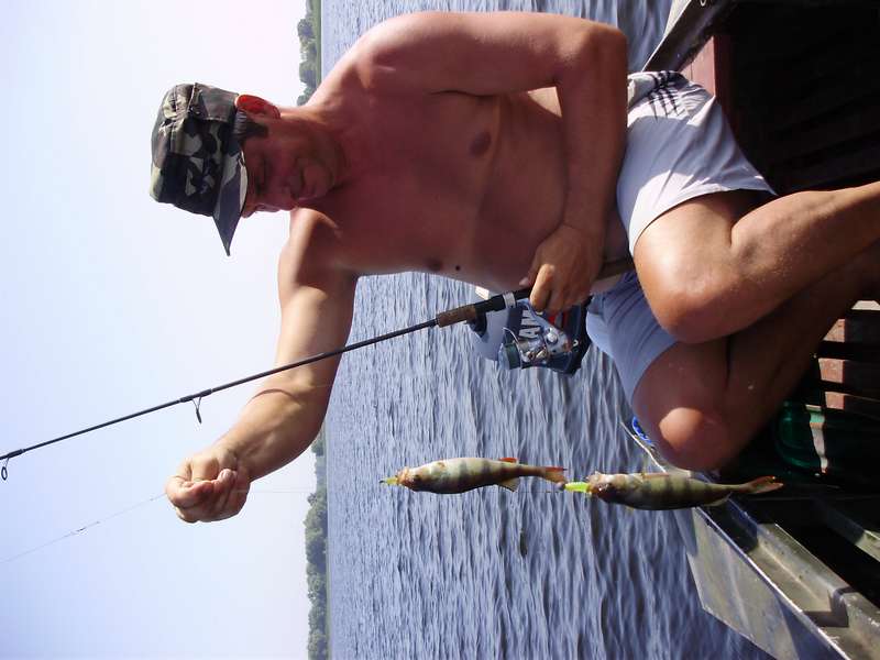 P8010576_thumb.jpg