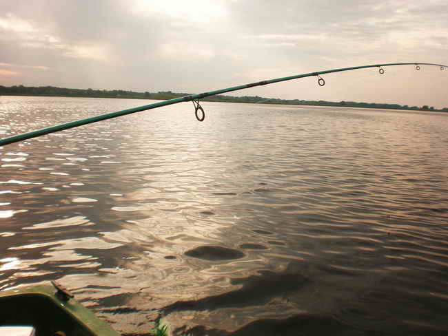 P8080007.jpg