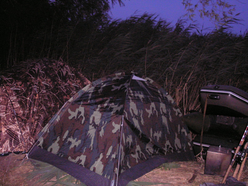 P8246412 2.jpg