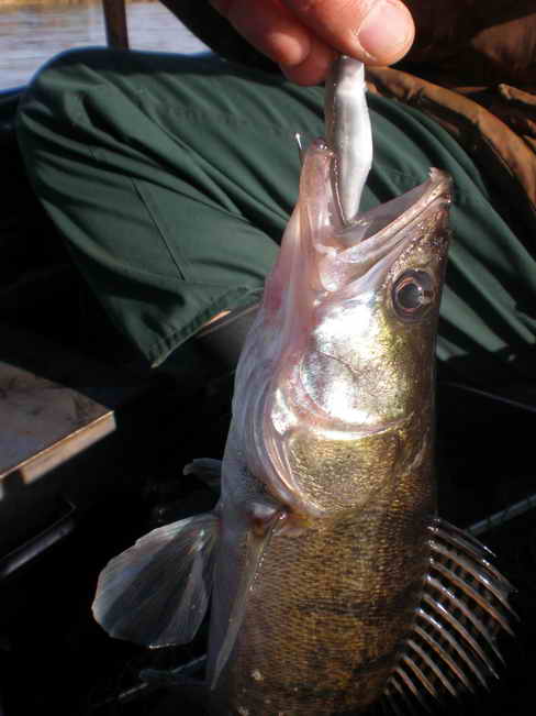PA100020.jpg