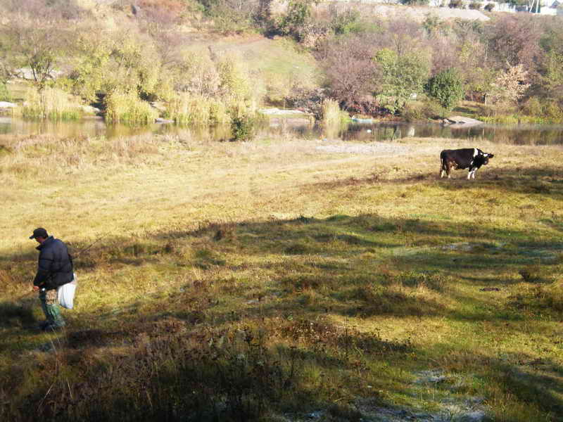 PA230006 1.jpg