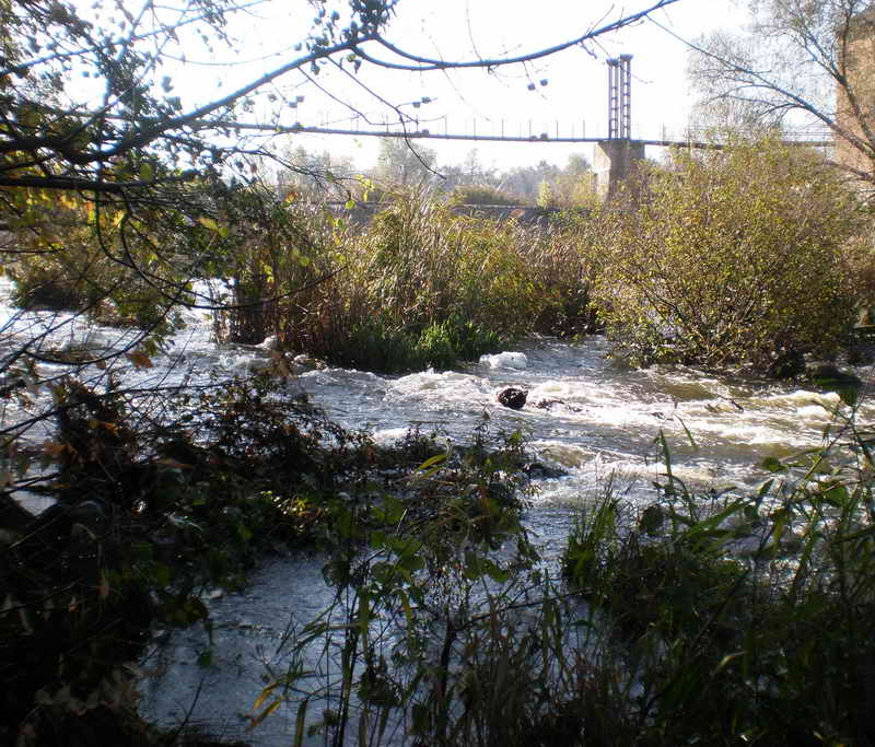 PA230009 1.jpg