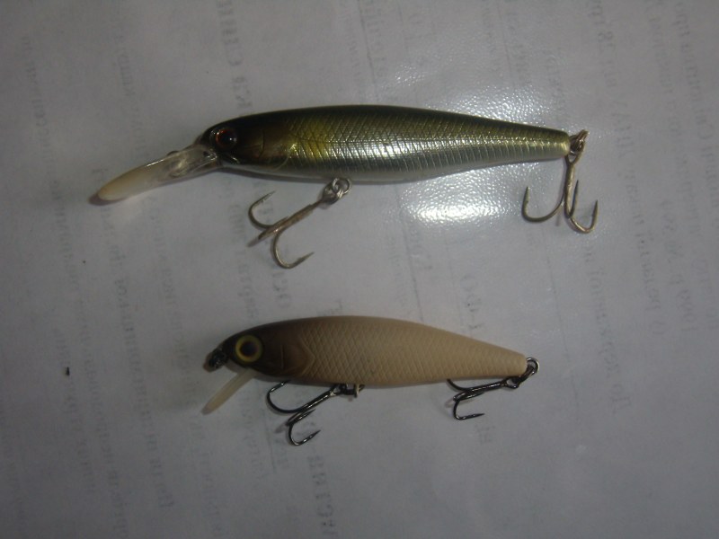 PB030005.JPG