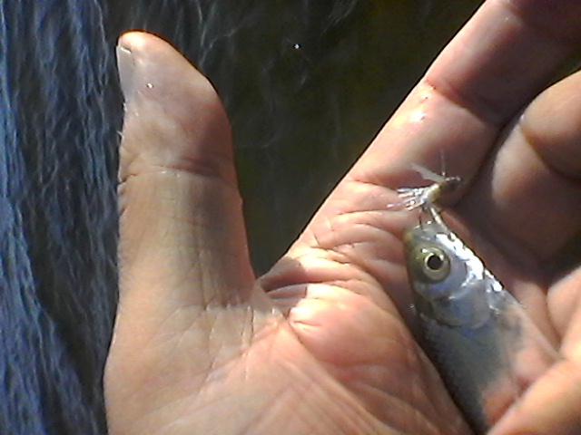 Photo0010.jpg
