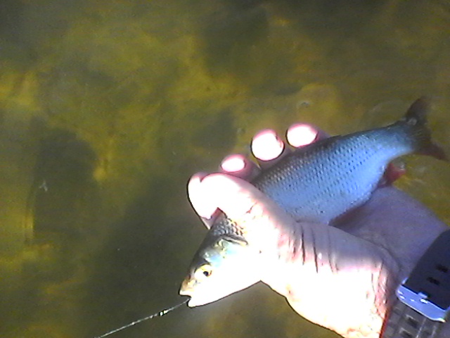 Photo0011.jpg
