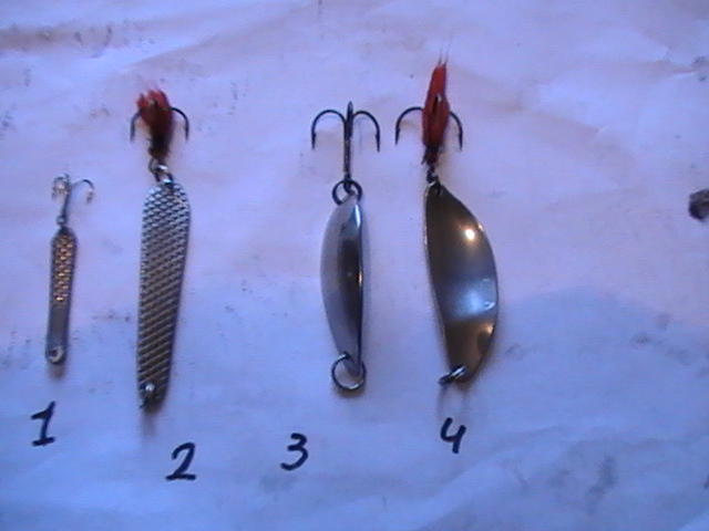 PIC_0119.JPG