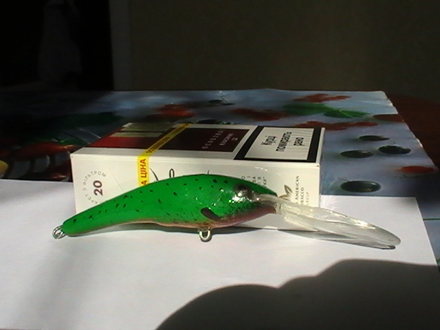PIC_0126.JPG