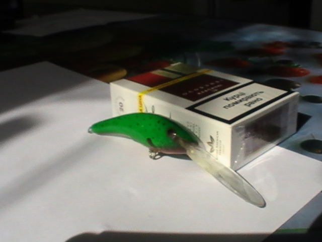 PIC_0127.JPG