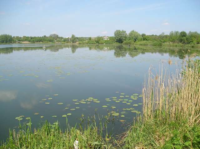pic_03.jpg