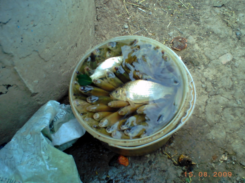 PICT0028.JPG