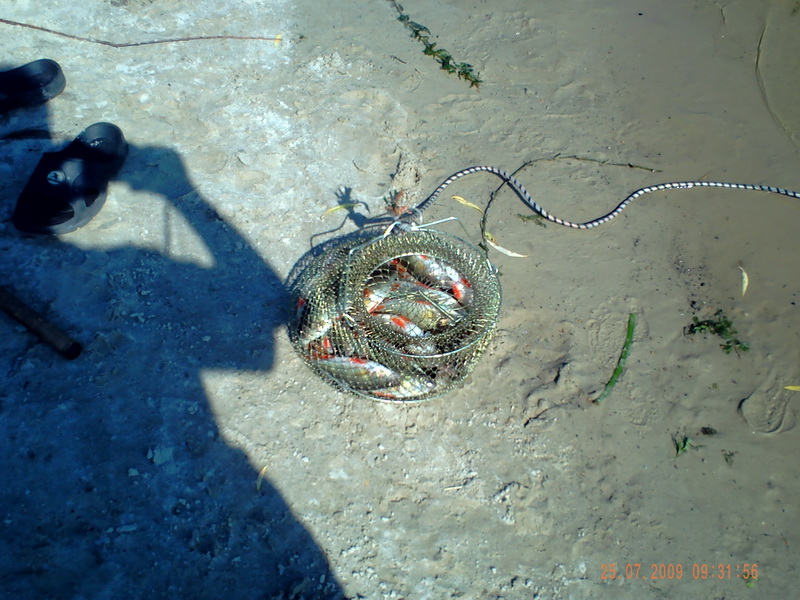 PICT0394.JPG