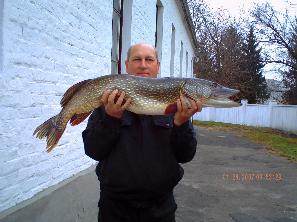 PICT0475.jpg