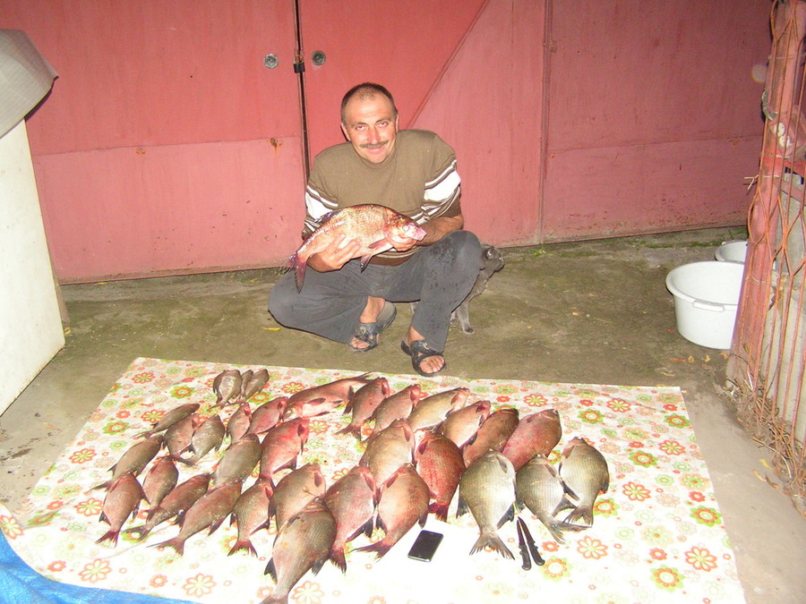 PICT0964.JPG