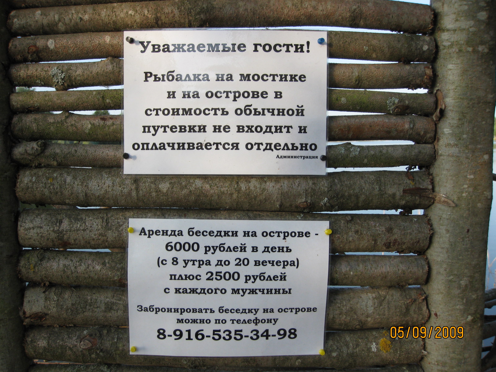 platnik2.jpg
