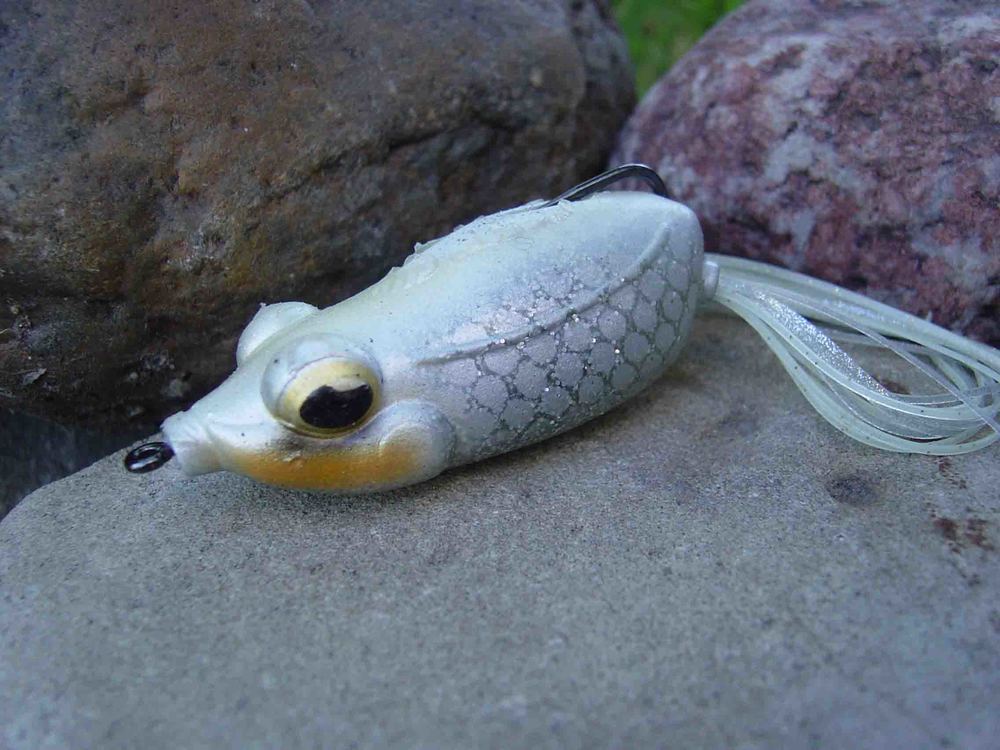 ricker frog.jpg