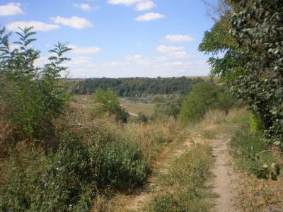 s2472118.jpg