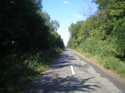 s9756124.jpg