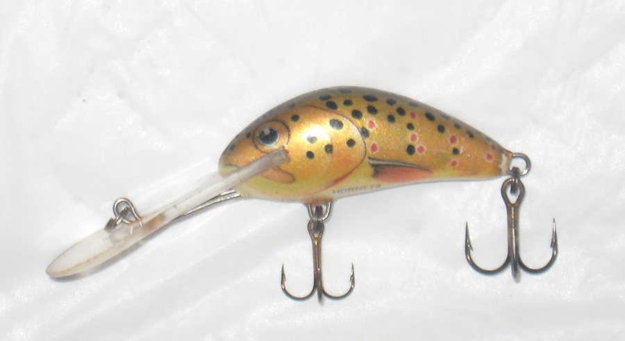 Salmo1.jpg