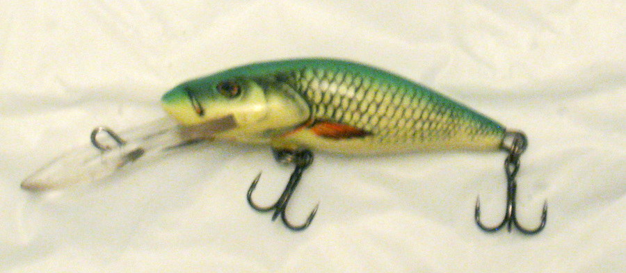 Salmo2.jpg