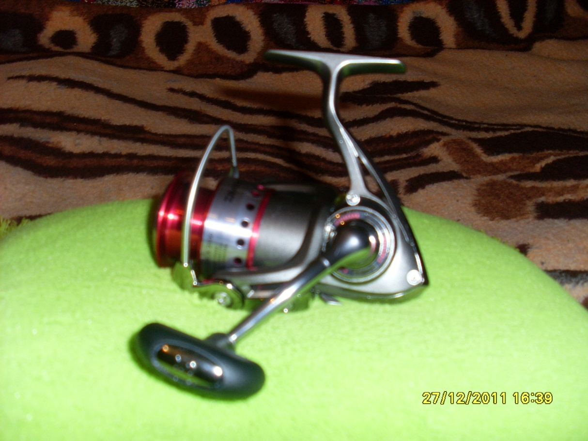 SL375563.JPG