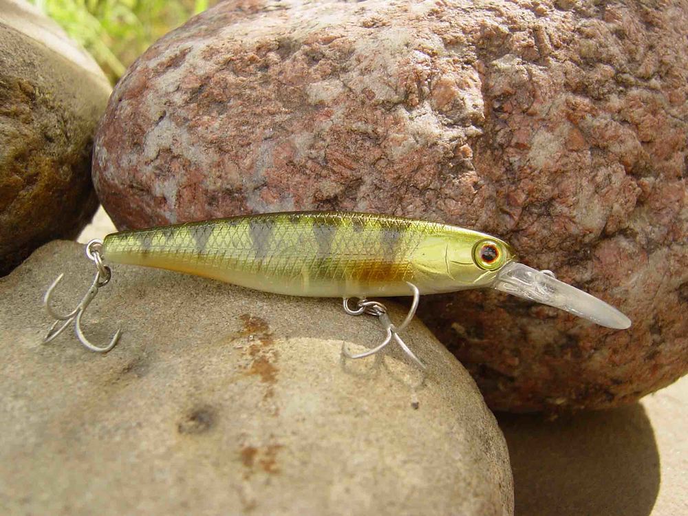 SQUIRREL 61 SP  perch.jpg
