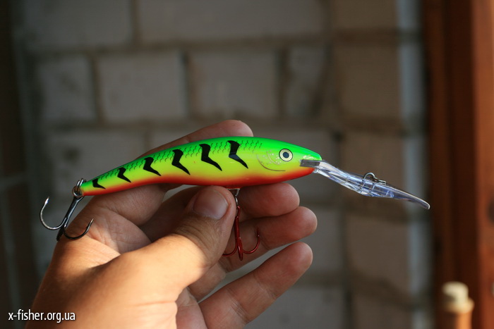 taildancer_198.jpg