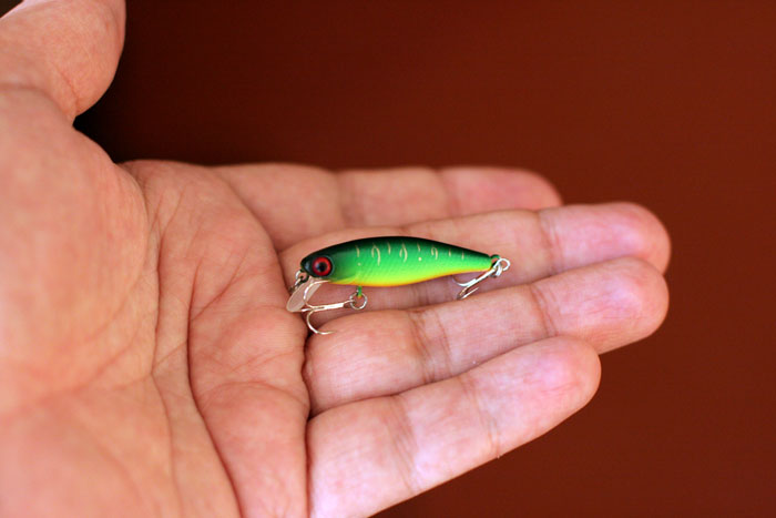 tinyfry.jpg