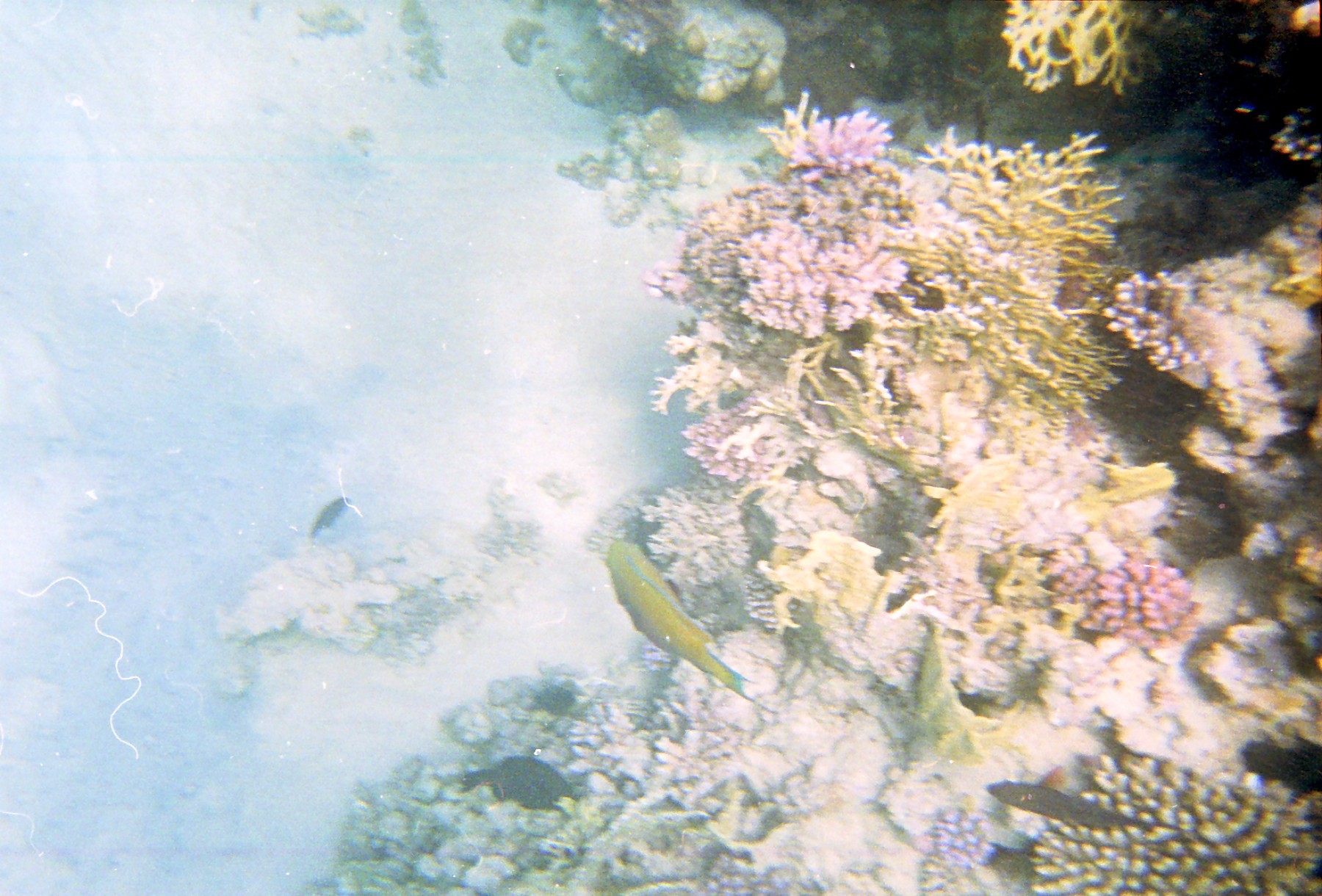 Untitled-Scanned-01.jpg