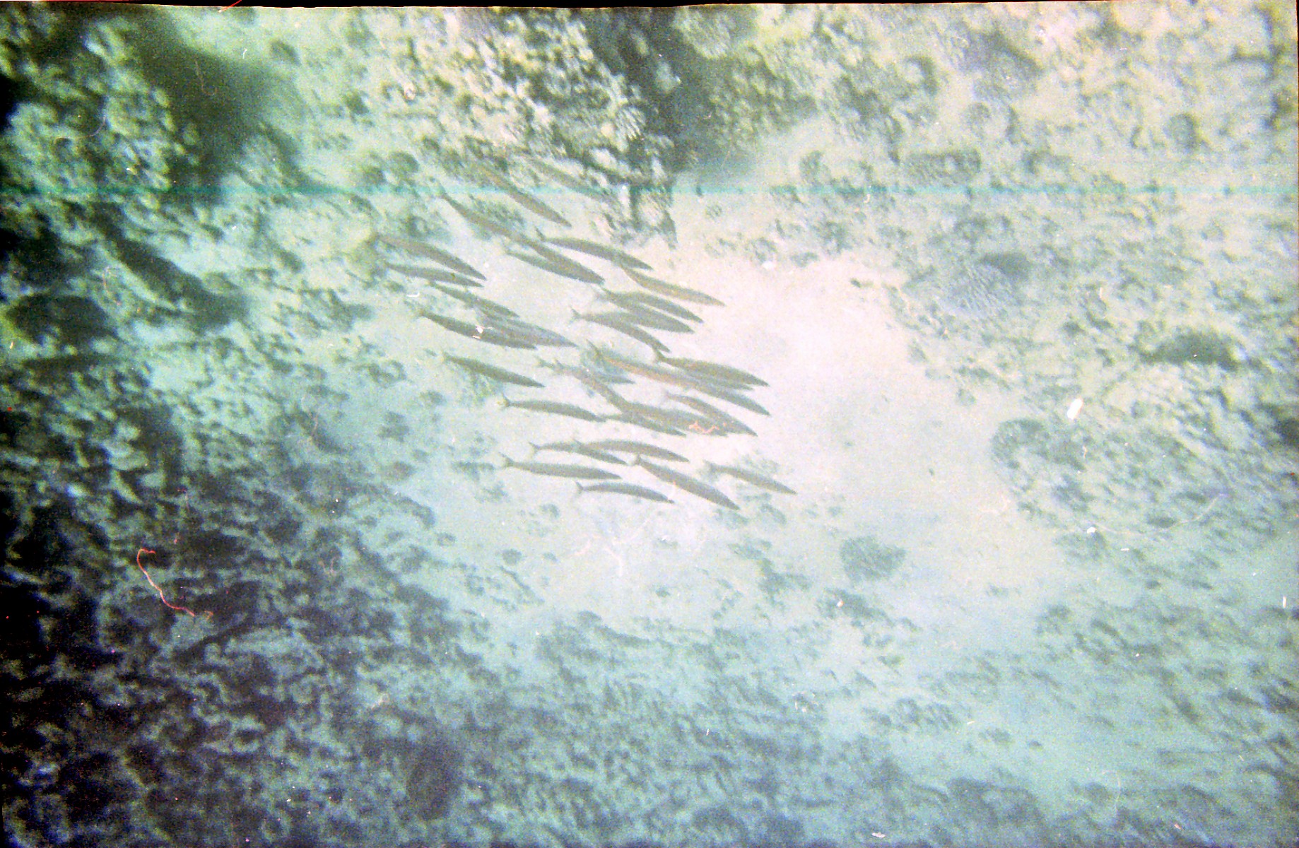 Untitled-Scanned-14.jpg