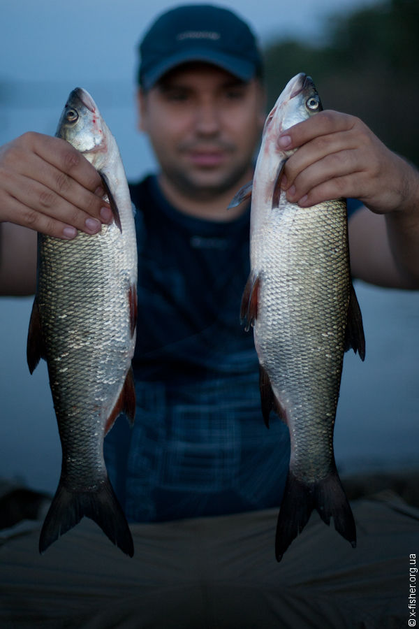 xfisher-9159.jpg