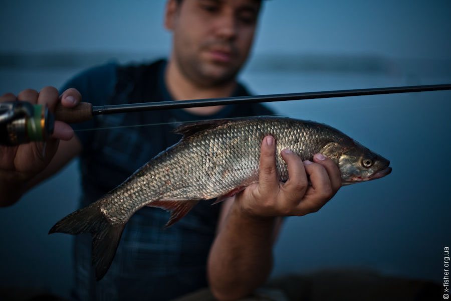 xfisher-9167.jpg